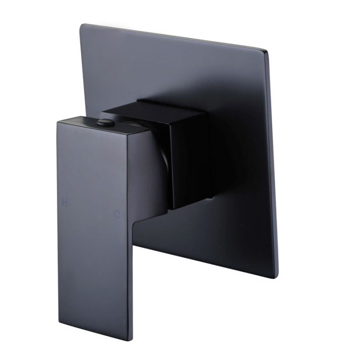 Luxus Black Shower Mixer