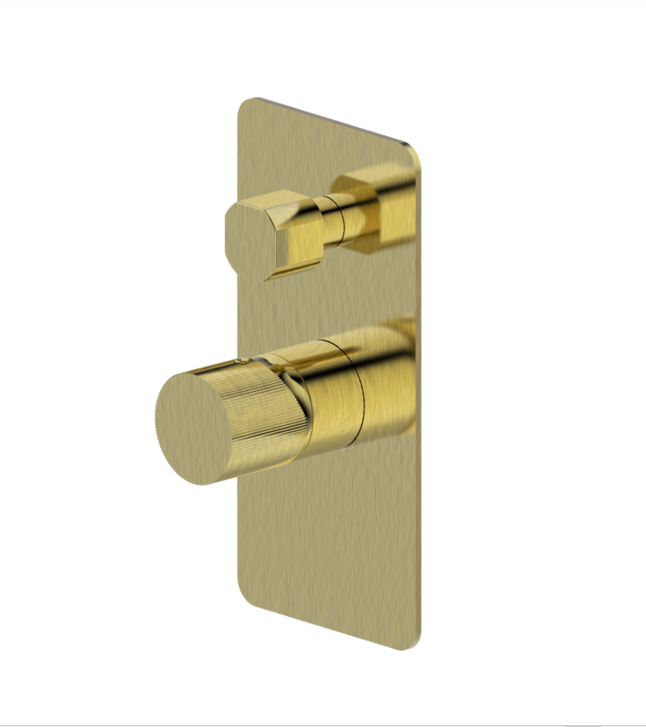 Molly QI Brushed Gold Shower Mixer + Diverter