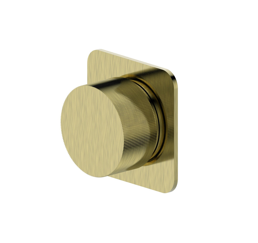 Molly QI Brushed Gold Progressive Shower Mixer