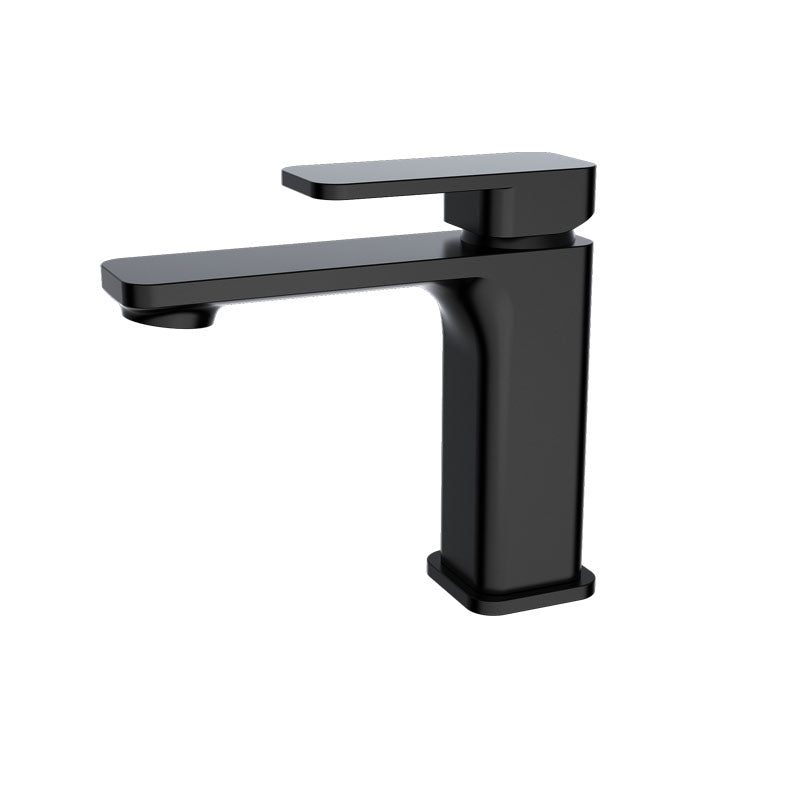 Pasha Black Basin Mixer