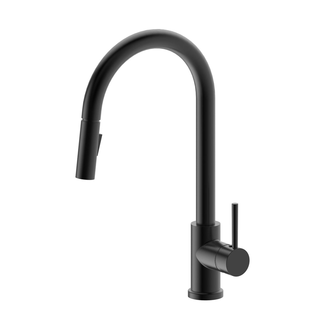 Arya Black Kitchen Mixer + Pull Out Spray