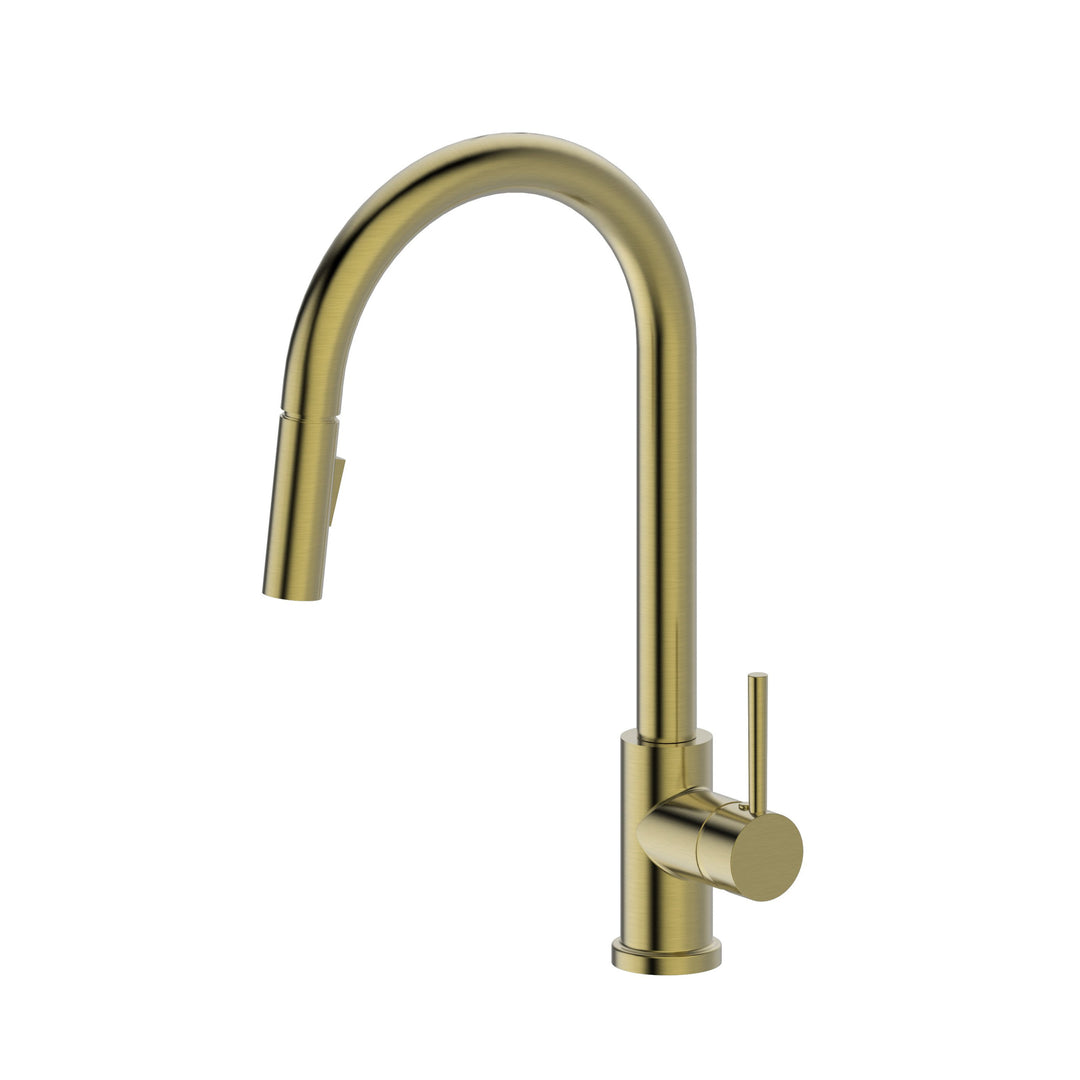 Arya Brushed Gold Kitchen Mixer + Pull Out Spray